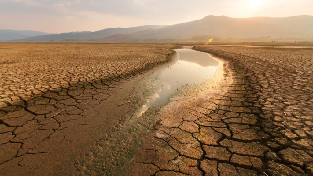 Sequía, agenda de las empresas sustentables